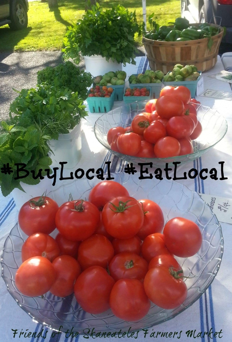 Skaneateles A Unique Visit On The Lake